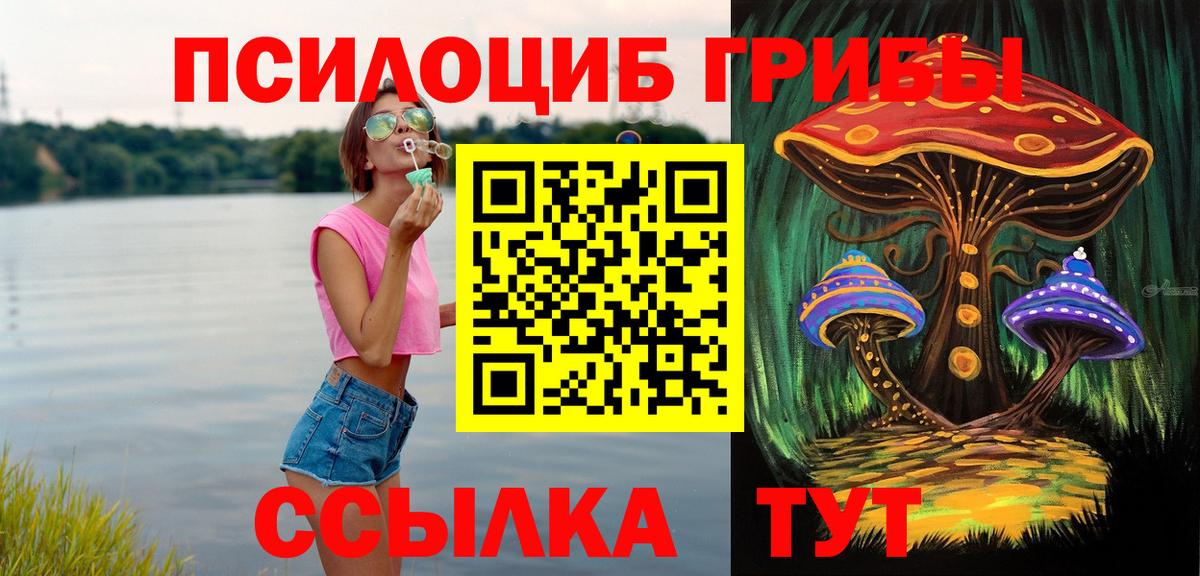 Гудермес  как найти закладки  Вход с VPN  Галлюциногенные грибы мухоморы  Галлюциногенные грибы Psilocybine cubensis 